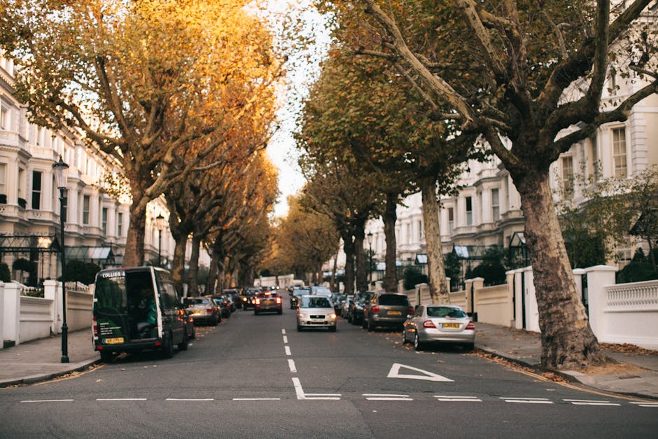 A residential street scene in Holland Park with a narrow road lined by large deciduous trees with autumn foliage. On one side, white Victorian-style terraced houses with decorative facades and front gardens are visible, while the pavement is partially occupied by parked cars including a black van, sedans, and hatchbacks. The black van, associated with Man and a Van Holland Park, is positioned close to the curb, likely preparing for home relocation or furniture transport. The street is quiet with minimal traffic and soft morning or late afternoon lighting filtering through the tree branches, creating a calm atmosphere. The scene captures the typical urban environment for house removals, with visible elements of packing and loading logistics such as vehicles and accessible front entrances, illustrating the necessary steps involved in professional moving services on narrow streets.