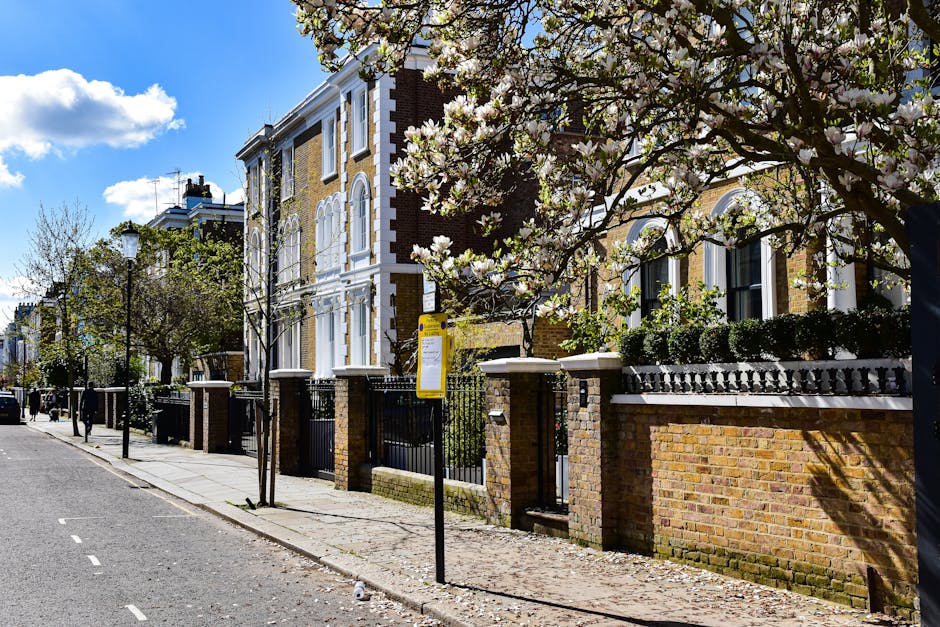 The image shows a residential street in Holland Park during daytime, with a row of Victorian-style brick houses featuring white trim and large sash windows. In the foreground, a blooming tree with white flowers extends over the sidewalk, casting shadows on the pavement. The brick properties are enclosed by low brick walls topped with black wrought-iron fences, and there are decorative stone coping along the wall tops. A yellow bus stop sign is visible on a pole near the sidewalk. The street is lined with young, thin trees with budding leaves, and the pavement is clean with minimal debris. The area is illuminated by natural light, highlighting the details of the houses and surroundings. While there are no moving activities or furniture visible, the scene depicts a typical neighbourhood suitable for home relocation services by Man and a Van Holland Park, with considerations for a residential packing and furniture transport process along this street.