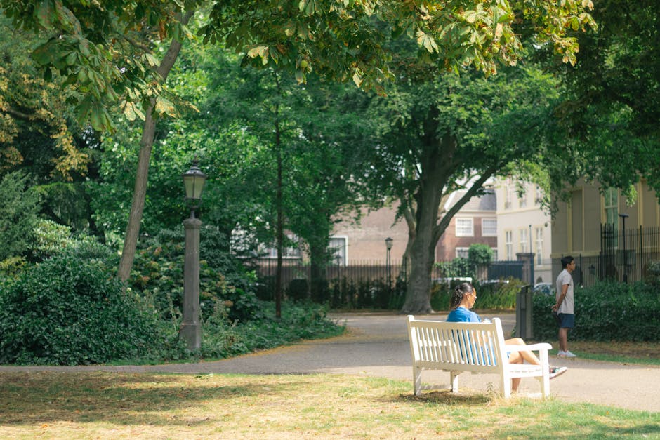 The image shows a residential street in Holland Park during daytime, with a row of Victorian-style brick houses featuring white trim and large sash windows. In the foreground, a blooming tree with white flowers extends over the sidewalk, casting shadows on the pavement. The brick properties are enclosed by low brick walls topped with black wrought-iron fences, and there are decorative stone coping along the wall tops. A yellow bus stop sign is visible on a pole near the sidewalk. The street is lined with young, thin trees with budding leaves, and the pavement is clean with minimal debris. The area is illuminated by natural light, highlighting the details of the houses and surroundings. While there are no moving activities or furniture visible, the scene depicts a typical neighbourhood suitable for home relocation services by Man and a Van Holland Park, with considerations for a residential packing and furniture transport process along this street.