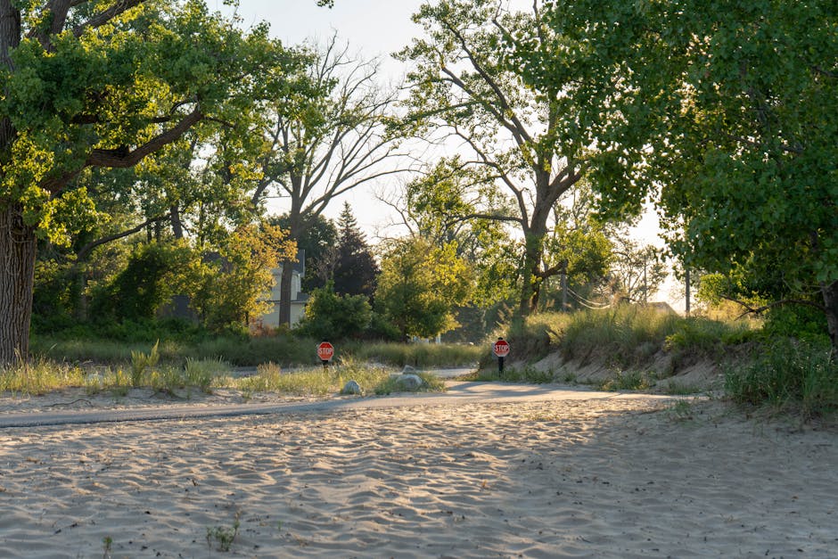A sandy pathway leading to a residential area with large green trees on both sides, sunlight filtering through the leaves. In the distance, there are two small, red stop signs positioned on either side of the pathway, indicating a controlled crossing or entry point. Sparse grass and plants are visible alongside the pathway, and a few rocks and debris are scattered on the sand. The scene depicts an outdoor environment possibly near a park or quiet street, with minimal infrastructure visible. Occasionally, objects such as moving boxes, furniture, or packing materials are carried by professionals during home relocation, similar to the loading and transport process employed by Man and a Van Holland Park for efficient furniture transport and packing and moving services in the Holland Park area.