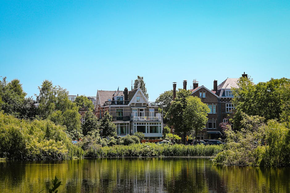 A row of large, multi-storey residential houses with pitched roofs, dormer windows, and brick facades situated along a tree-lined street in Holland Park estate under a clear blue sky. The houses are surrounded by lush green trees and shrubs, with some trees partially obscuring the buildings. In the foreground, a calm river or pond reflects the greenery and the buildings, creating a mirror-like effect. The scene is well-lit by natural daylight, highlighting the architectural details and vibrant foliage. This image illustrates a tranquil residential environment, typical of Holland Park, where house removals by Man and a Van Holland Park may occur during home relocation or furniture transport processes, with some properties featuring balconies and large windows, emphasizing the spacious and landscaped setting.